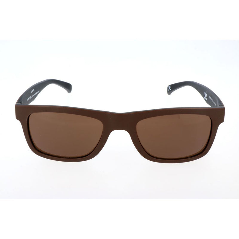 Brown Acetate Sunglasses