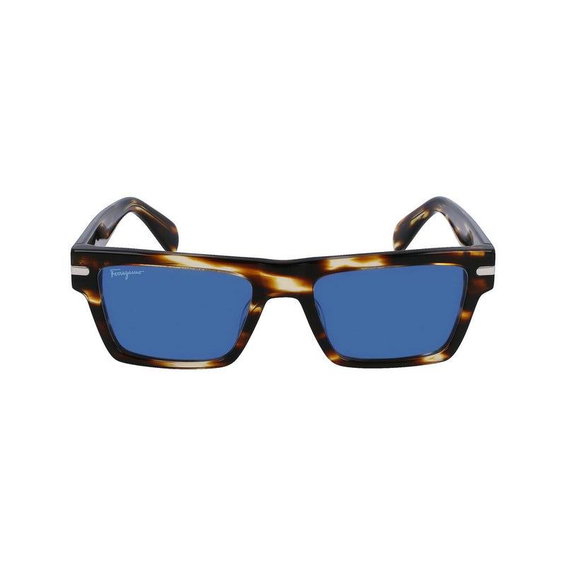 Brown Acetate Sunglasses